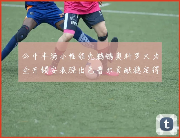 公牛半场小幅领先鹈鹕奥科罗火力全开锡安表现出色普尔贡献稳定得分